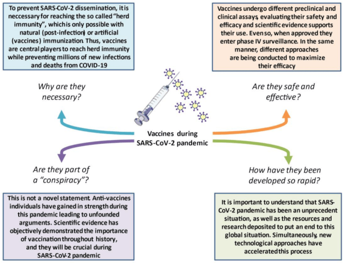 Importance of vaccination programs for public health